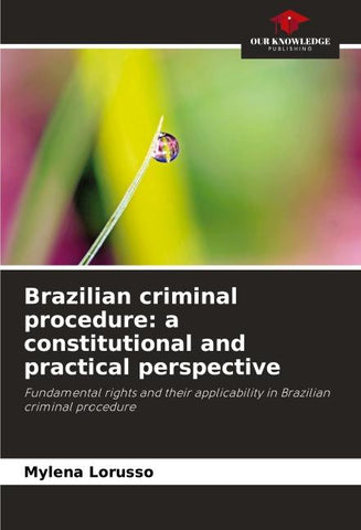 Brazilian criminal procedure: a constitutional and practical perspective