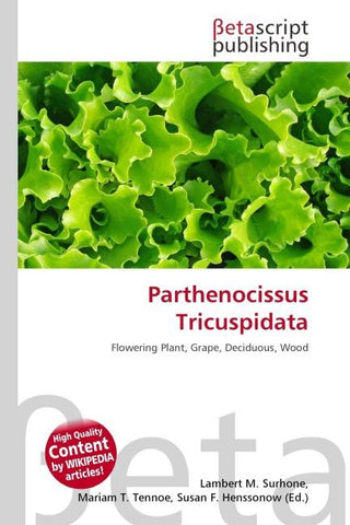 Parthenocissus Tricuspidata