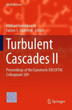 Turbulent Cascades II
