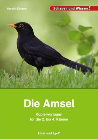 Die Amsel – Kopiervorlagen für die 2. bis 4. Klasse