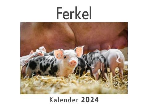 Ferkel (Wandkalender 2024, Kalender DIN A4 quer, Monatskalender im Querformat mit Kalendarium, Das perfekte Geschenk)