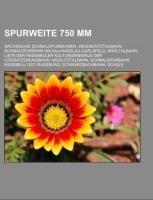 Spurweite 750 mm