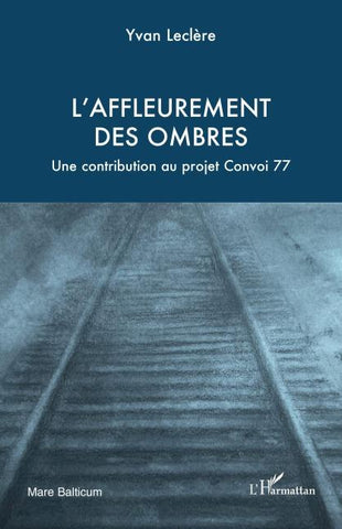 L'affleurement  des ombres