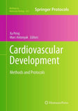 Cardiovascular Development