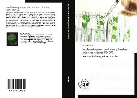 Le développement des plantes: rôle des gènes KNOX
