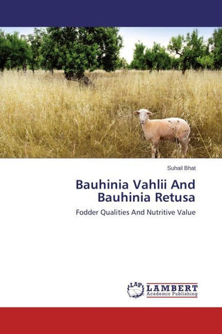 Bauhinia Vahlii And Bauhinia Retusa