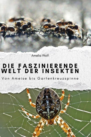 Die faszinierende Welt der Insekten