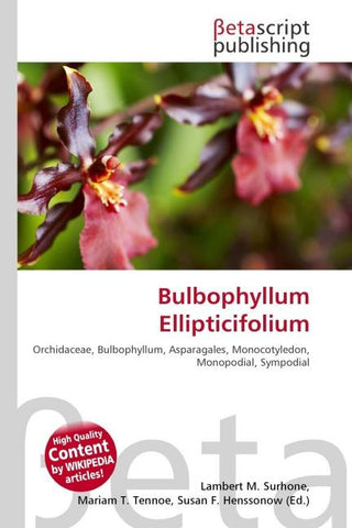 Bulbophyllum Ellipticifolium