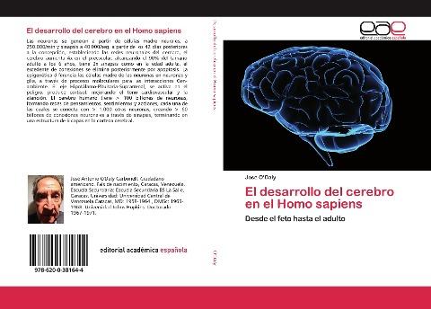 El desarrollo del cerebro en el Homo sapiens