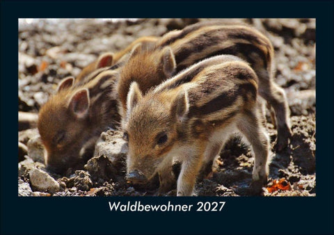 Waldbewohner 2027 Fotokalender DIN A5