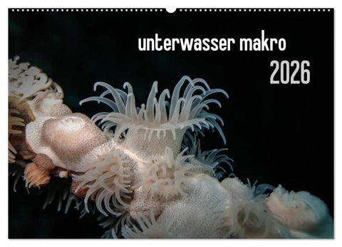 unterwasser makro 2026 (Wandkalender 2026 DIN A2 quer), CALVENDO Monatskalender