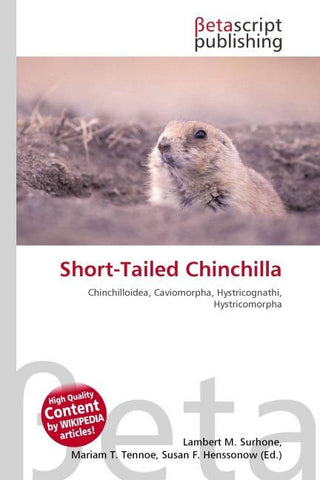 Short-Tailed Chinchilla