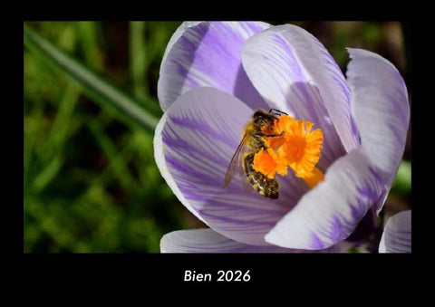 Bien 2026 Fotokalender DIN A3