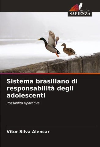 Sistema brasiliano di responsabilità degli adolescenti