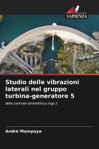 Studio delle vibrazioni laterali nel gruppo turbina-generatore 5