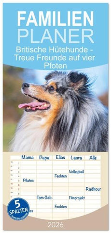Familienplaner 2026 - Britische Hütehunde - Treue Freunde auf vier Pfoten mit 5 Spalten (Wandkalender, 21 x 45 cm) CALVENDO