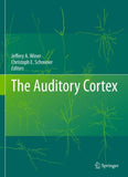 The Auditory Cortex