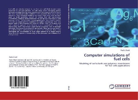 Computer simulations of fuel cells