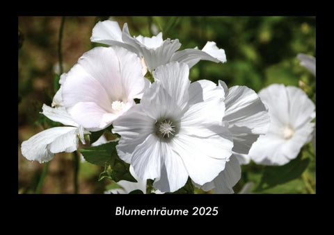 Blumenträume 2025 Fotokalender DIN A3