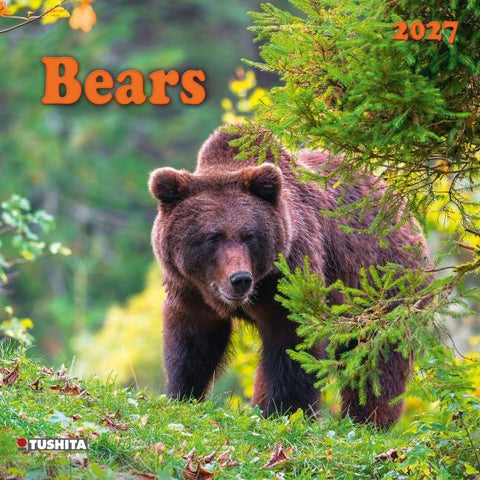 Bears 2027