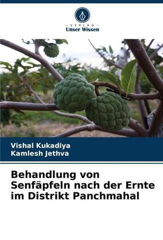 Behandlung von Senfäpfeln nach der Ernte im Distrikt Panchmahal
