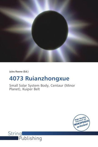 4073 Ruianzhongxue