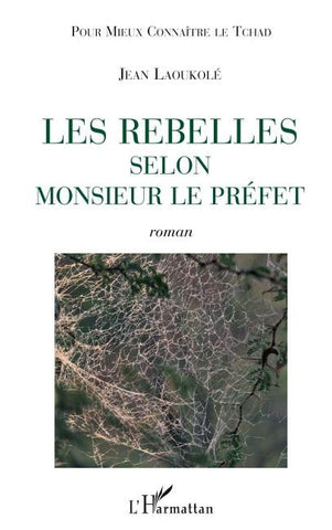 Les rebelles selon Monsieur le Préfet