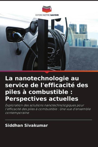 La nanotechnologie au service de l'efficacité des piles à combustible : Perspectives actuelles