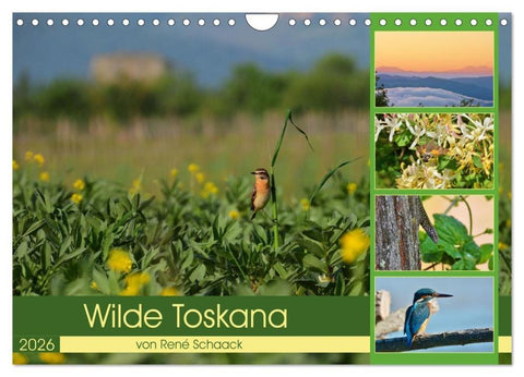 Wilde Toskana - von René Schaack (Wandkalender 2026 DIN A4 quer), CALVENDO Monatskalender
