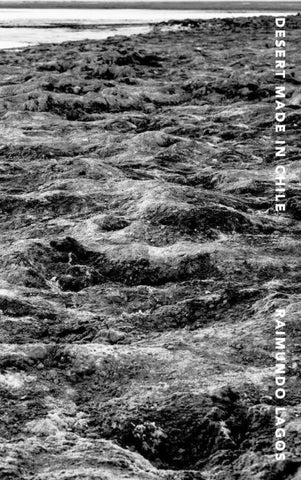 Desert Made in Chile