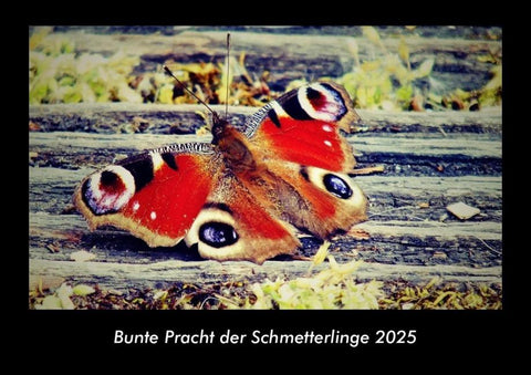 Bunte Pracht der Schmetterlinge 2025 Fotokalender DIN A3