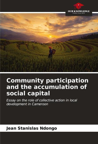 Community participation and the accumulation of social capital