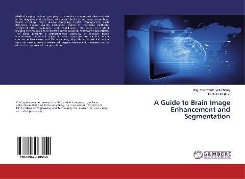 A Guide to Brain Image Enhancement and Segmentation