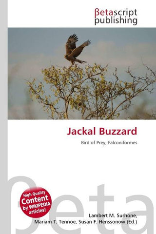 Jackal Buzzard