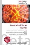 Pressurized Water Reactor