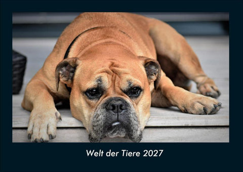Welt der Tiere 2027 Fotokalender DIN A4