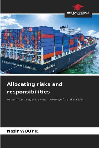 Allocating risks and responsibilities
