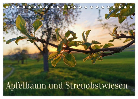 Apfelbaum und Streuobstwiesen (Tischkalender 2026 DIN A5 quer), CALVENDO Monatskalender