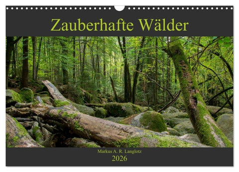 Zauberwelt Wald (Wandkalender 2026 DIN A3 quer), CALVENDO Monatskalender