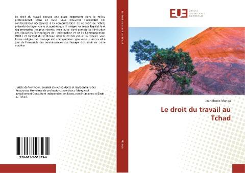 Le droit du travail au Tchad