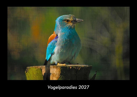 Vogelparadies 2027 Fotokalender DIN A3