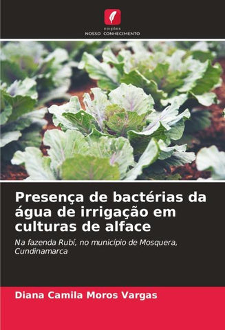 Presença de bactérias da água de irrigação em culturas de alface
