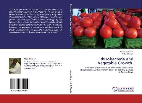 Rhizobacteria and Vegetable Growth.