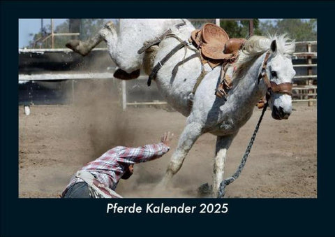 Pferde Kalender 2025 Fotokalender DIN A5