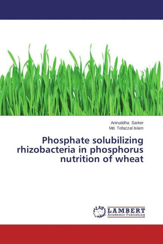 Phosphate solubilizing rhizobacteria in phosphorus nutrition of wheat