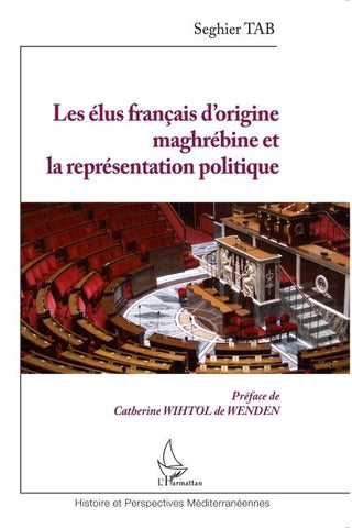 Les élus français d'origine maghrébine et la représentation politique