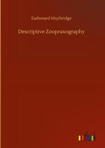 Descriptive Zoopraxography