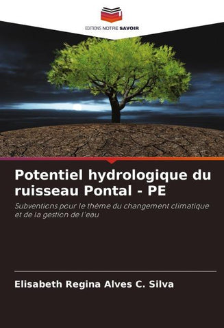 Potentiel hydrologique du ruisseau Pontal - PE