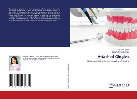 Attached Gingiva