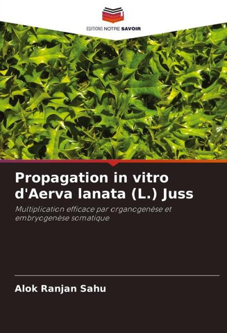 Propagation in vitro d'Aerva lanata (L.) Juss